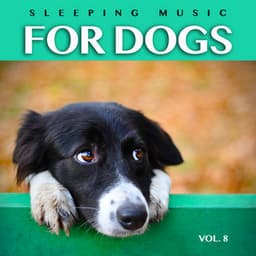 Sleeping Music For Dogs: Calm Dog Music For Dog's Ears and The Best Music For Pets, Vol. 8 - Dog Music