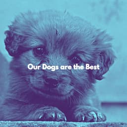 Our Dogs are the Best - Alegre Desayuno Jazz