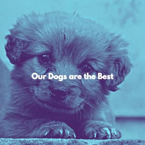 Our Dogs are the Best - Alegre Desayuno Jazz