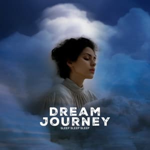 Dream Journey - Sleep Sleep Sleep
