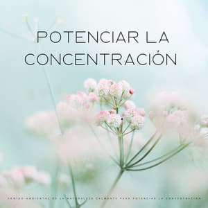 Sonido Ambiental De La Naturaleza Calmante Para Potenciar La Concentración - Música ambiental relajante