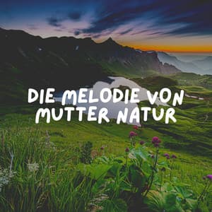 Die Melodie von Mutter Natur - Waldgeräusche