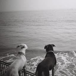 Death, Infinity and Zero - Armen Nalbandian