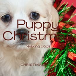 2 0 2 2 Puppy Christmas - Dog Relaxing Zone