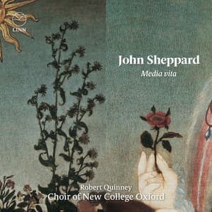 Sheppard: Media vita - John Sheppard