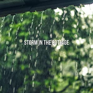 Storm In The Cottage - Rhodium Music