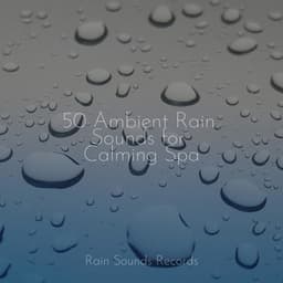 50 Ambient Rain Sounds for Calming Spa - Musica Para Estudiar Academy