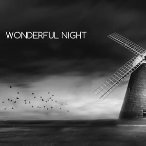 Wonderful Night - Sleep Waves