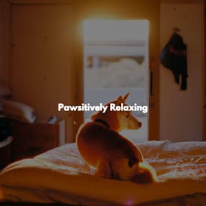 Pawsitively Relaxing - Jazz Café Bar