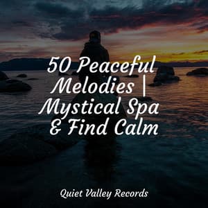 50 Peaceful Melodies | Mystical Spa & Find Calm - Sounds of Nature for Deep Sleep and Relaxation