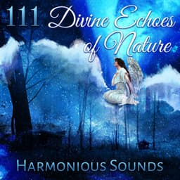 111 Divine Echoes of Nature: Harmonious Sounds, Zen Meditation, Reiki Treatment, Yoga Relaxation, Spa Massage, Ambient Therapy, Deep Sleep - Nature Collection