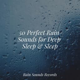 50 Perfect Rain Sounds for Deep Sleep & Sleep - Canción de Cuna