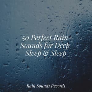 50 Perfect Rain Sounds for Deep Sleep & Sleep - Canción de Cuna