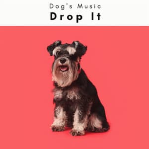 4 Paws: Drop It - Dog's Music