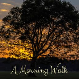 A Morning Walk - Granular