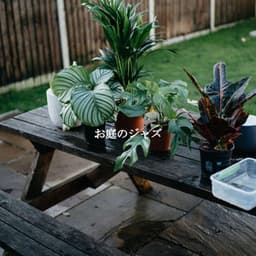 お庭のジャズ - Música Ambiental para Cafés