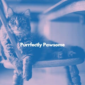 Purrfectly Pawsome - Cat Music