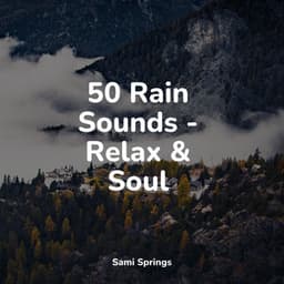 50 Rain Sounds - Relax & Soul - Soothing Nature Sounds