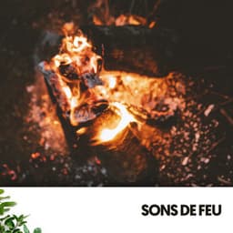 Sons de Feu : Mélodies Ardentes dans la Nuit - Relajacion