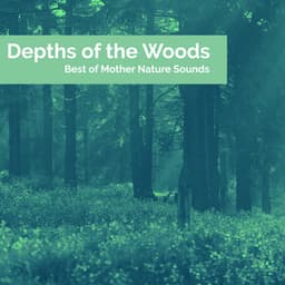 Depths of the Woods - Best of Mother Nature Sounds