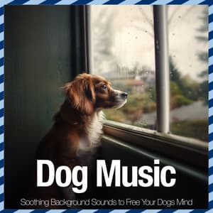 Dog Music - Soothing Background Sounds to Free Your Dogs Mind - Relaxmydog