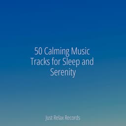 50 Calming Music Tracks for Sleep and Serenity - Mantra para Meditar
