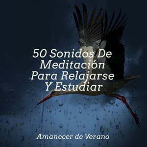 50 Sonidos De Meditación Para Relajarse Y Estudiar - Ambiente