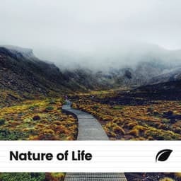 Nature of Life - Weather and Nature Recordings