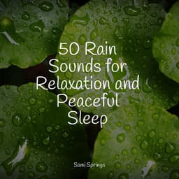 50 Rain Sounds for Relaxation and Peaceful Sleep - Ambient Arena