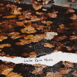 Calm Rain Music - Calm Rain Music