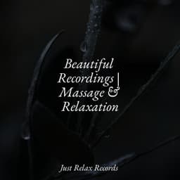 Beautiful Recordings | Massage & Relaxation - Nature Sounds Nature Music