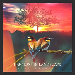 Harmony in Landscape - Bird Sounds