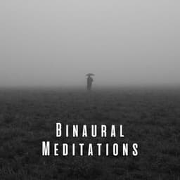 Binaural Meditations: Theta Waves and Rain Melodies - The Rain Sounds Nature Experts
