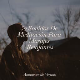 50 Sonidos De Meditación Para Masajes Relajantes - Música Para Meditar y Relajarse