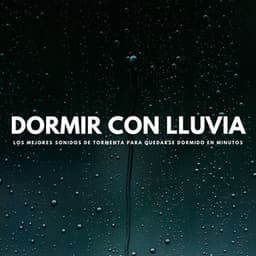 Dormir Con Lluvia: Los Mejores Sonidos De Tormenta Para Quedarse Dormido En Minutos - La Naturaleza Del Sueño