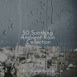 50 Soothing Ambient Rain Collection - Chillout Lounge