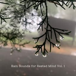 Rain Sounds for Rested Mind Vol. 1 - Nature Hiker