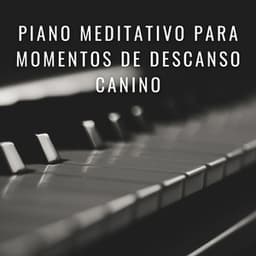Huellas Armónicas: Piano Meditativo Para Momentos De Descanso Canino - Música relajante para cachorros