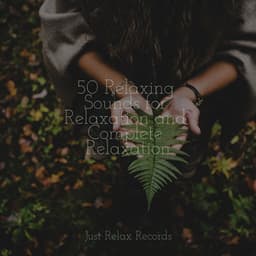 50 Relaxing Sounds for Relaxation and Complete Relaxation - Yoga Namaste