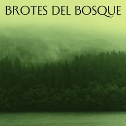 Brotes Del Bosque - Efectos especiales del bosque