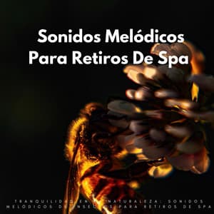 Tranquilidad En La Naturaleza: Sonidos Melódicos De Insectos Para Retiros De Spa - El proyecto de la naturaleza