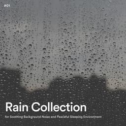 #01 Rain Collection for Soothing Background Noise and Peaceful Sleeping Environment - Rain Radiance