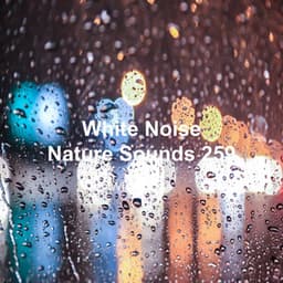 White Noise 259 - White Noise