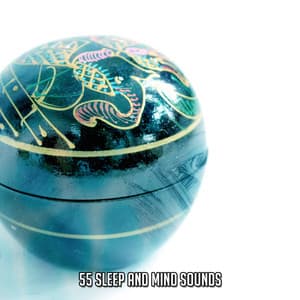 55 Sleep And Mind Sounds - Asian Zen: Spa Music Meditation