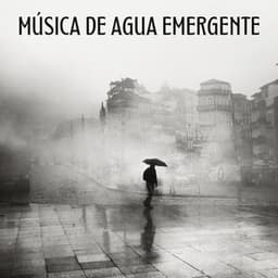 Música De Agua Emergente - Palacio de la lluvia