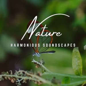 Acoustic Serenity: Harmonious Soundscapes - Spirits Of Our Dreams