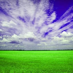 Forever Unfolding Dreams - Lumenis