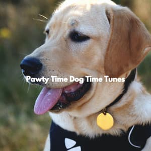 Pawty Time Dog Time Tunes - Relaxing Dog Music Seduction