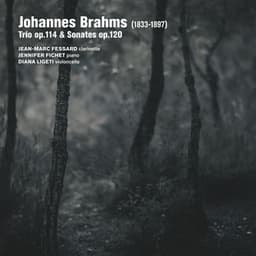 Brahms: Trio Op. 114, Sonates Op. 120 - Johannes Brahms