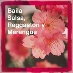 Baila Salsa, Reggaeton y Merengue - Reggaeton Latino